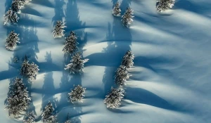 Высокогорье зимнего Алтая. 