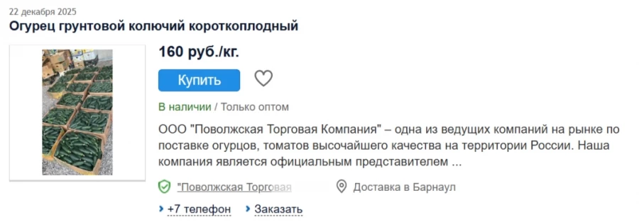 Огурцы оптом. 