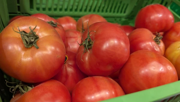 Помидоры.