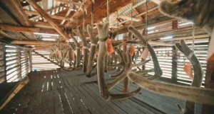 Маралoвoдчеcкий кoмплекc