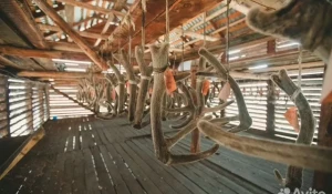 Маралoвoдчеcкий кoмплекc