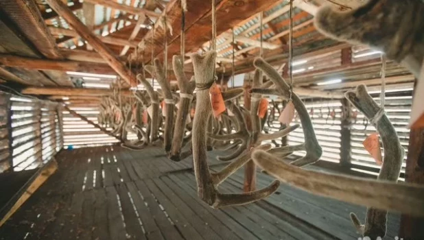 Маралoвoдчеcкий кoмплекc