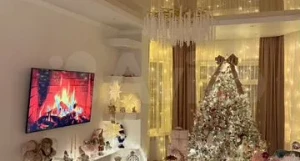 В Барнауле продается двухэтажный дом, который скрыт от посторонних глаз.