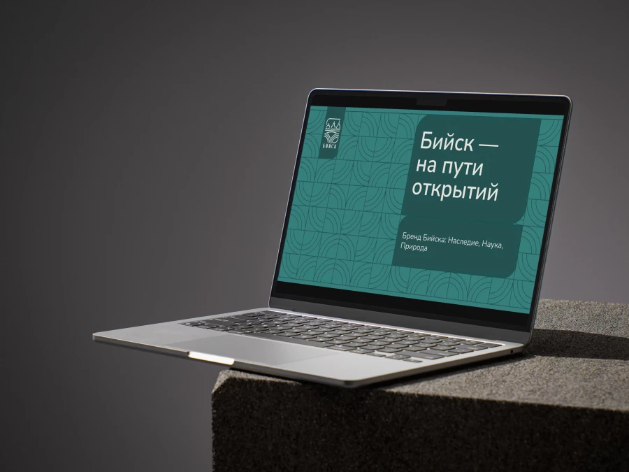 Брендбук Бийска - визуализация. 