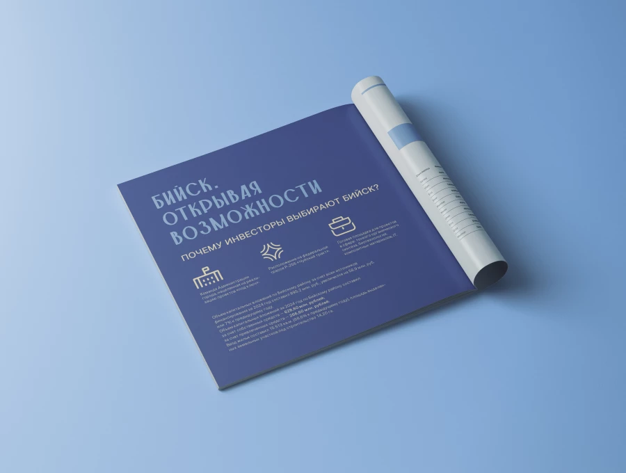 Брендбук Бийска - визуализация. 