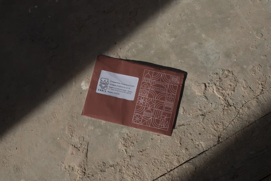 Брендбук Бийска - визуализация. 