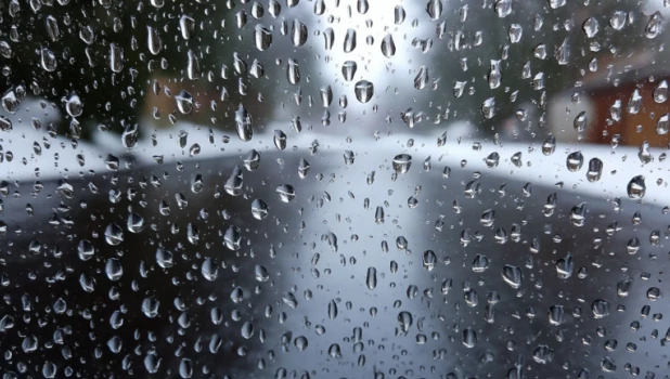 В Барнауле прошел первый в этом году февральский дождь.