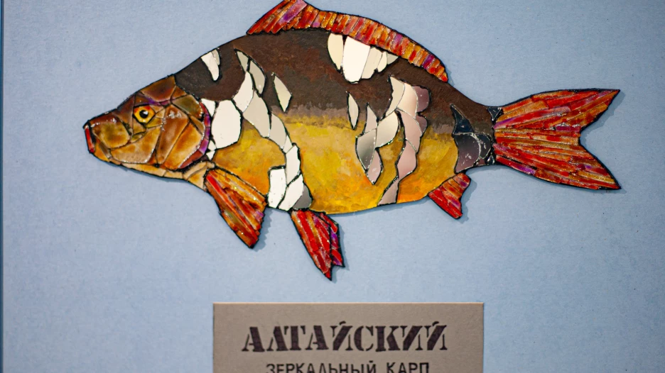 Выставка «Молодежка 5» в выставочном зале музея «Город».