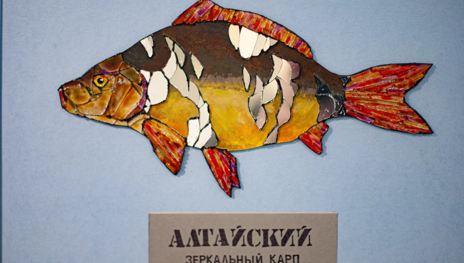 Выставка «Молодежка 5» в выставочном зале музея «Город».