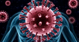 Вирус. Организм. Болезнь.