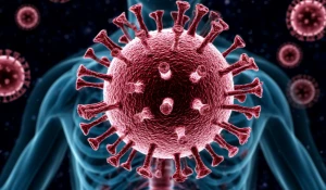 Вирус. Организм. Болезнь.