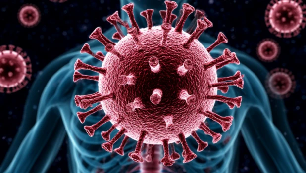 Вирус. Организм. Болезнь.