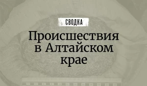 Сводка происшествий. 