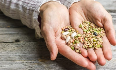 Вспоминаем азы семенных премудростей перед перед сезоном