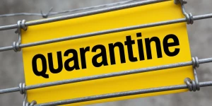 Карантин.