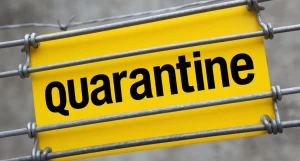 Карантин.