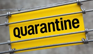 Карантин.