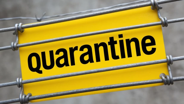Карантин.