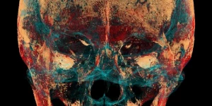 Фото черепа тела женщины возрастом 2,5 тыс. лет.