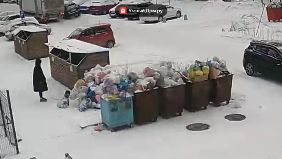 Баки с мусором на ул. Пролетарская, 160.