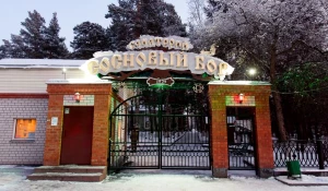 Санаторий «Сосновый бор» подключился к реализации федпроекта «Производительность труда».