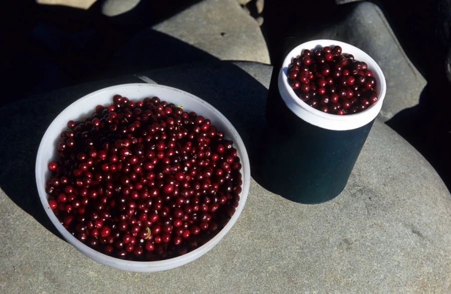 Сплав российско-швейцарской команды в Якутию в 2005 году. 