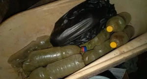 Сушеная конопля.