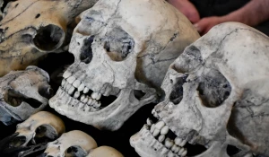 Егор Губарев. Черепа из пластика