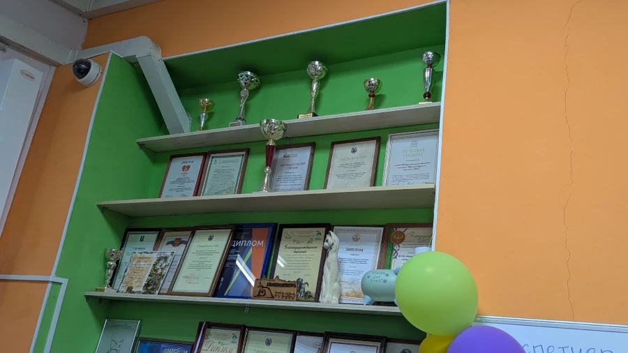 Животные приюта «Ласка». Барнаул