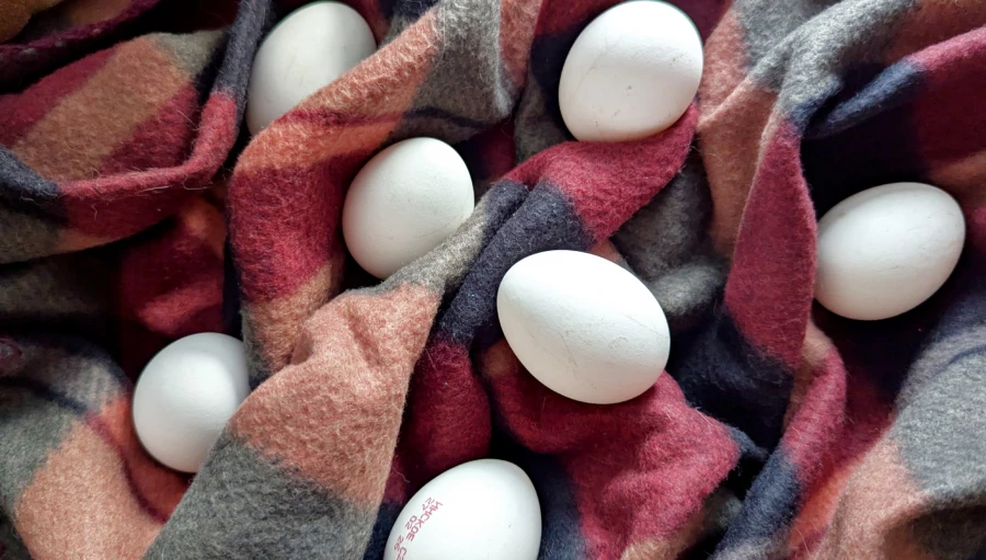 Яйца. Куриные яйца. 