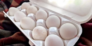 Яйца. Куриные яйца. 