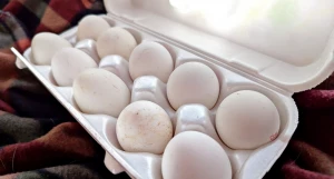 Яйца. Куриные яйца. 