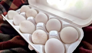 Яйца. Куриные яйца. 