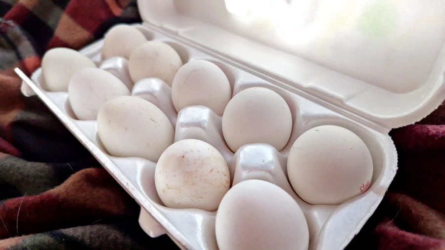 Яйца. Куриные яйца. 