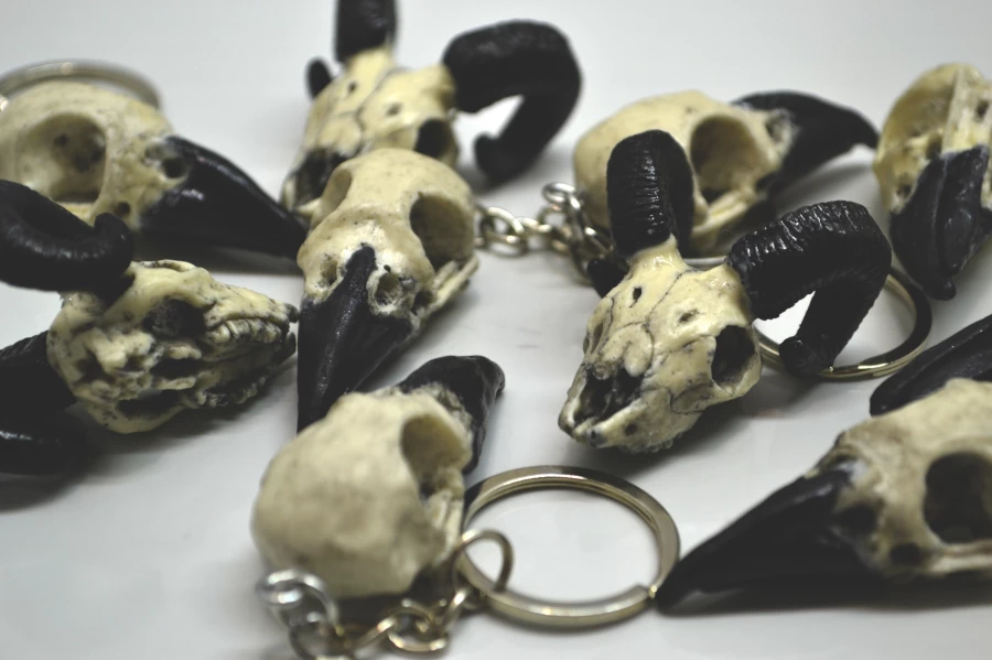 Егор Губарев. Черепа из пластика