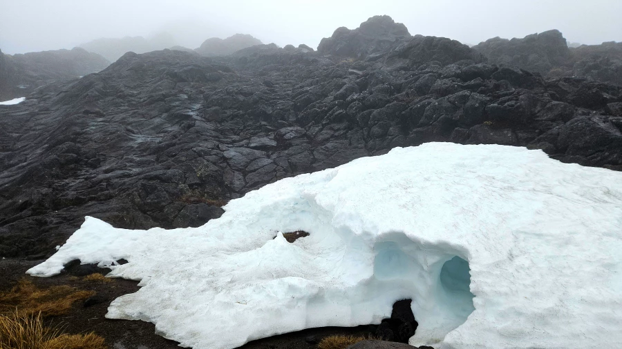 Новая Зеландия.