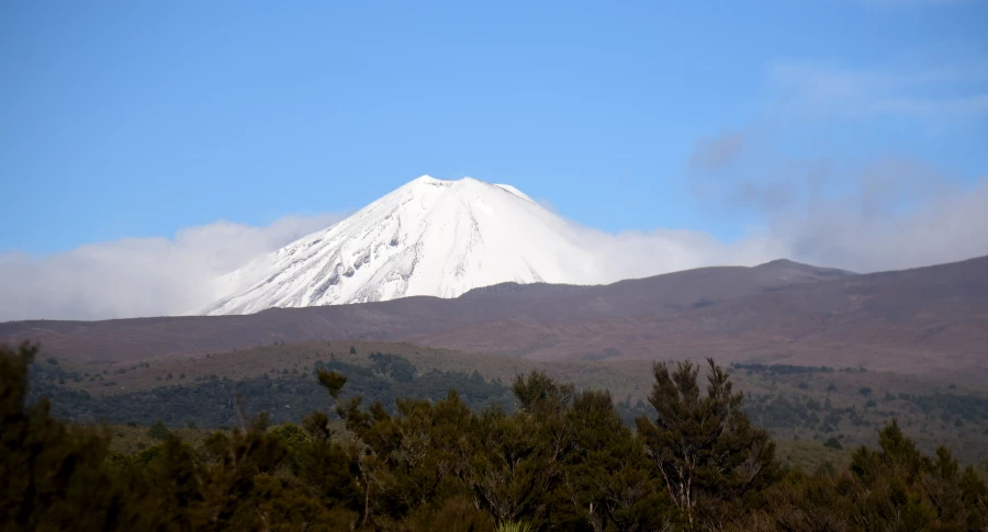 Новая Зеландия.