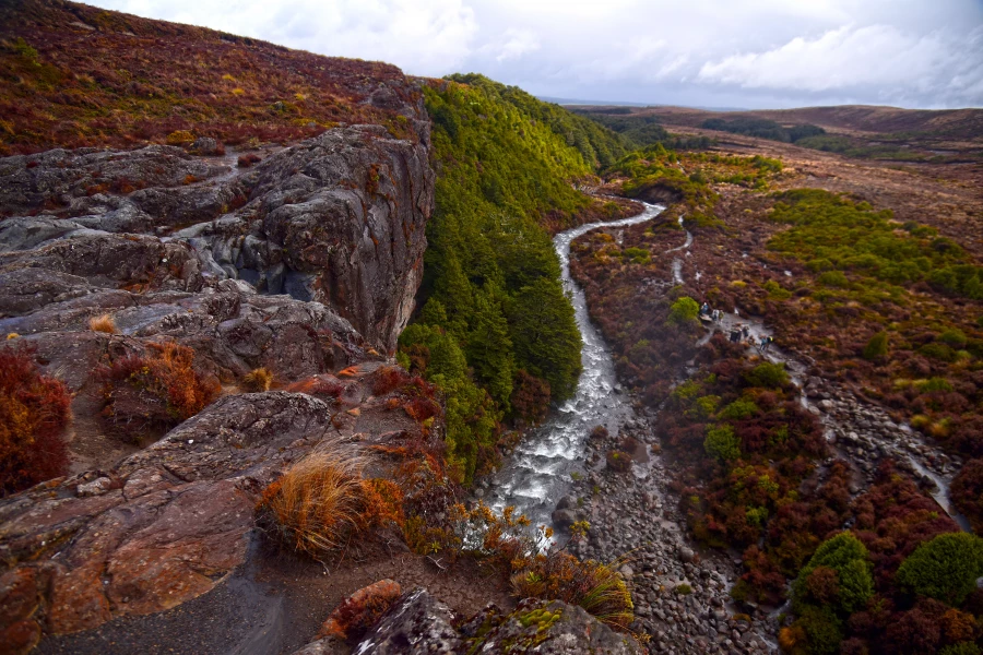 Новая Зеландия.