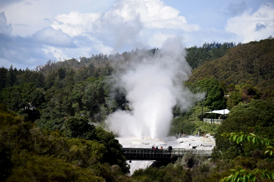 Новая Зеландия.