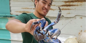 Французская Полинезия.