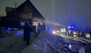 В барнаульском садоводстве из горящего дома спасли два человека.