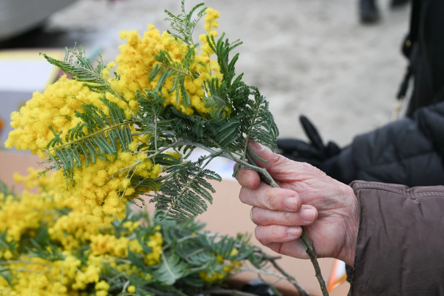 Цветы. Покупка. 