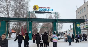 Барнаульцы отметили 8 марта в кругу «пушистых» друзей.