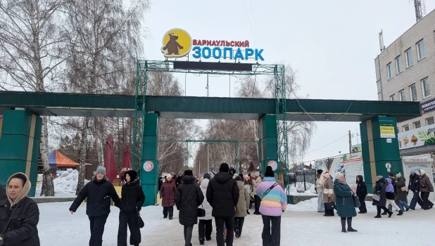 Барнаульцы отметили 8 марта в кругу «пушистых» друзей.