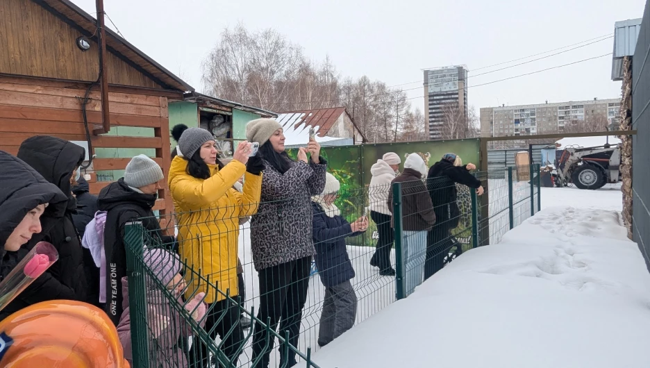 Барнаульцы отметили 8 марта в кругу «пушистых» друзей.