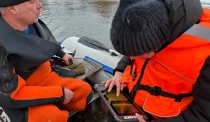 Поиски подростков в Звенигороде.