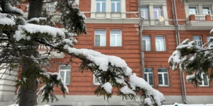 Снег 10 марта. 