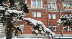 Снег 10 марта. 