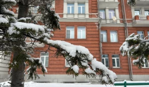 Снег 10 марта. 