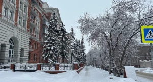 Снегопад в Барнауле.